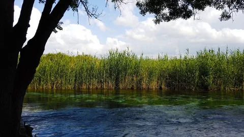 Mediterranean Rivers in the Spring (60 fps) Stock Footage 115236907