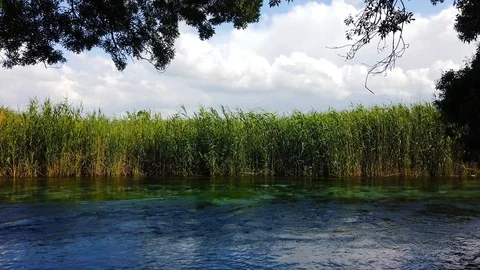 Mediterranean Rivers in the Spring (60 fps) Video stock 115237699