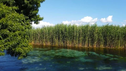 Mediterranean Rivers in the Spring (60 fps) Stock Footage 115290676