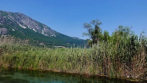 Mediterranean Rivers in the Spring Stock Footage 77052857