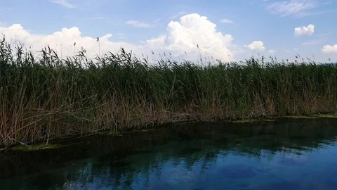 Mediterranean Rivers in the Spring Stock Footage 77053478