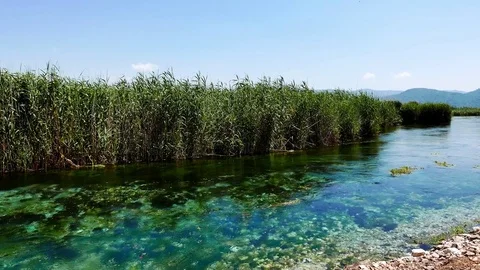 Mediterranean Rivers in the Spring Stock Footage 79044997