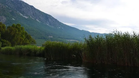 Mediterranean Rivers in the Spring Stock Footage 85204825