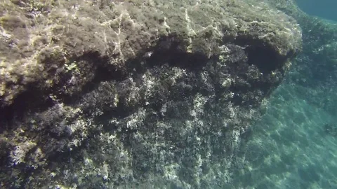 Mediterranean rocks. Stock Footage 81913395