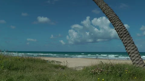 Mediterranean Sea, beach, palms, people walking. Slow motion Stock Footage 4994053