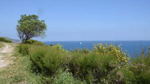 Mediterranean Sea Stock Footage 75191900