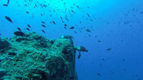 Mediterranean sea 库存影片 115759754