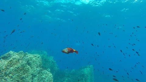 Mediterranean sea 库存影片 115759815