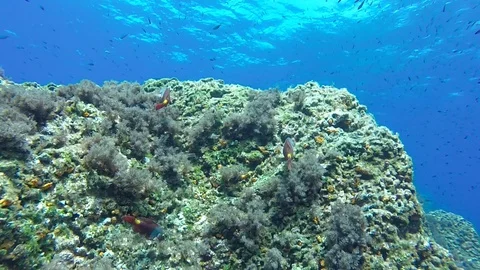 Mediterranean sea 库存影片 115759838