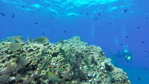 Mediterranean sea 库存影片 115760151