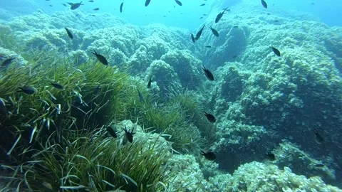Mediterranean Sea Stock Footage 151318625