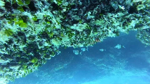 Mediterranean Sea Stock Footage 151318636