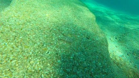 Mediterranean Sea Stock Footage 151319436