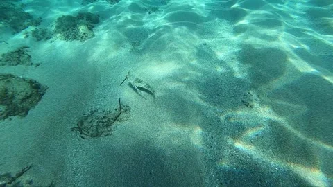 Mediterranean Sea Stock Footage 151319520