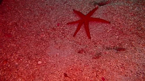 Mediterranean Sea Stock Footage 151327164