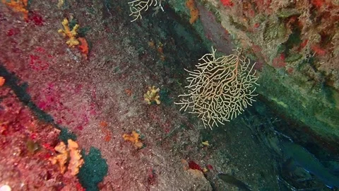 Mediterranean Sea Stock Footage 151327550