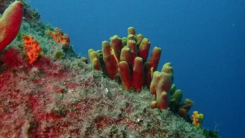 Mediterranean Sea Stock Footage 151327610