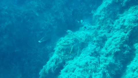 Mediterranean Sea Stock Footage 151327751