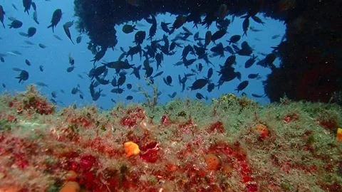 Mediterranean Sea Stock Footage 151327761