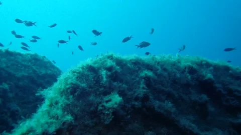 Mediterranean Sea Stock Footage 151327804