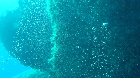 Mediterranean Sea Stock Footage 151327829