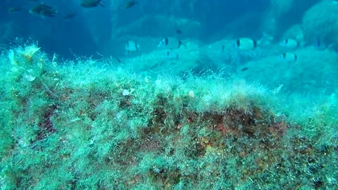 Mediterranean Sea Stock Footage 151327830