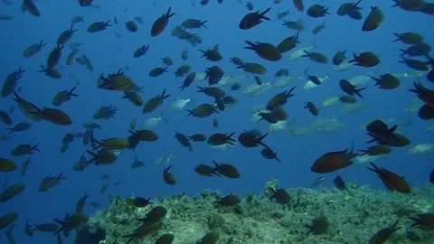 Mediterranean Sea Stock Footage 151327847