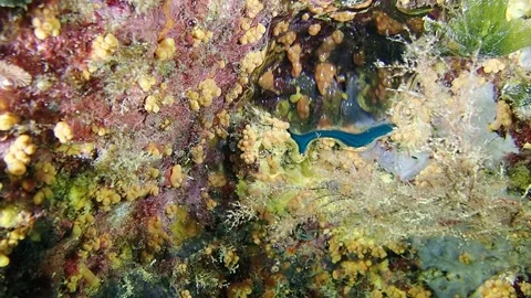 Mediterranean Sea Stock Footage 151327880