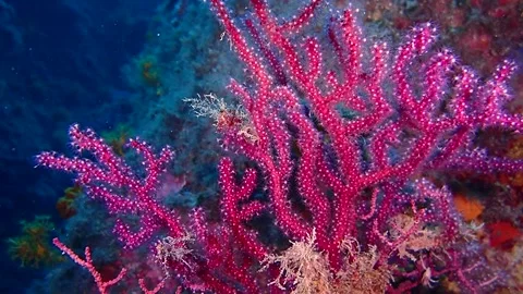 Mediterranean Sea Stock Footage 151327904