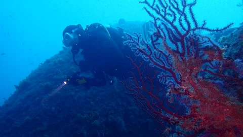 Mediterranean Sea Stock Footage 151327920