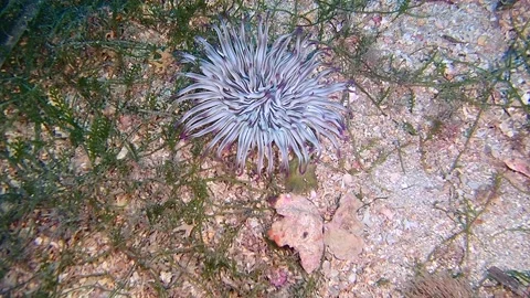 Mediterranean Sea Stock Footage 151328016