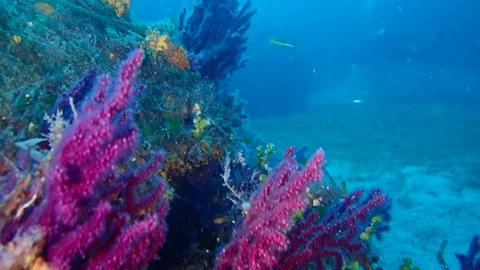 Mediterranean Sea Stock Footage 151328109