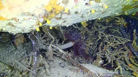 Mediterranean Sea Stock Footage 151328131