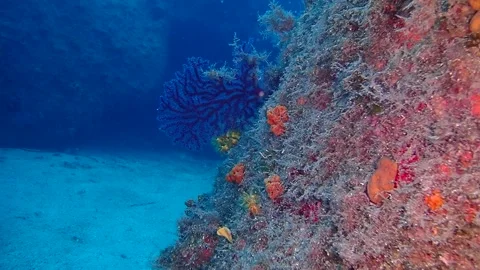 Mediterranean Sea Stock Footage 151328171