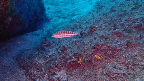 Mediterranean Sea Stock Footage 151328189