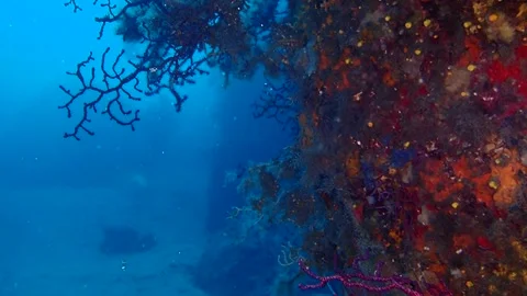 Mediterranean Sea Stock Footage 151328200
