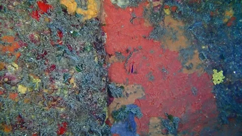 Mediterranean Sea Stock Footage 151328212