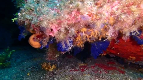 Mediterranean Sea Stock Footage 151328280