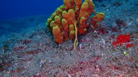 Mediterranean Sea Stock Footage 151328353