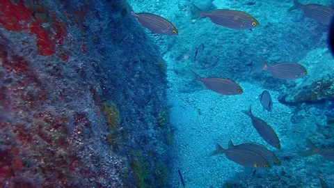 Mediterranean Sea Stock Footage 151328384