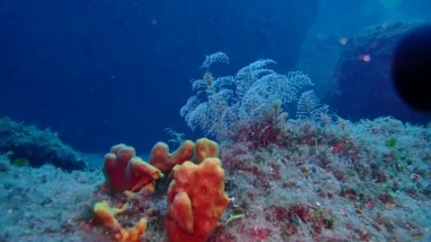 Mediterranean Sea Stock Footage 151328411