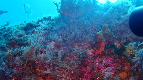 Mediterranean Sea Stock Footage 151328431