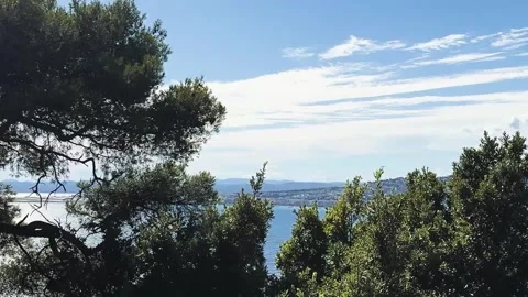 Mediterranean Sea View Through Trees at Castle Hill in Nice 스톡 동영상 344052539
