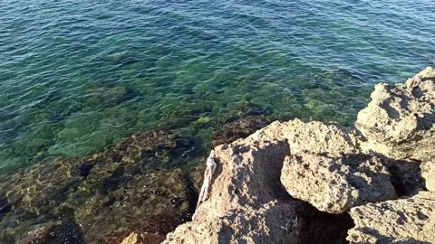 Mediterranean sea waves lapping rocks coast in morning light Stock Footage 141126173