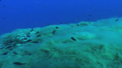 Mediterranean Seabed Stock Footage 283465657