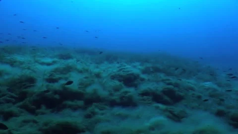 Mediterranean Seabed, Pan Shot Stock Footage 283465733