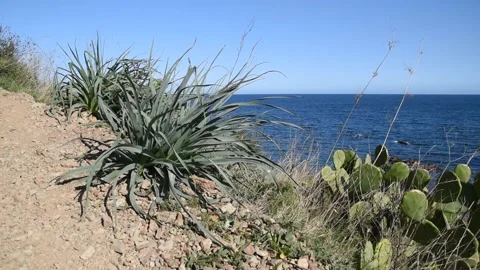 Mediterranean seascape Stock Footage 150977861