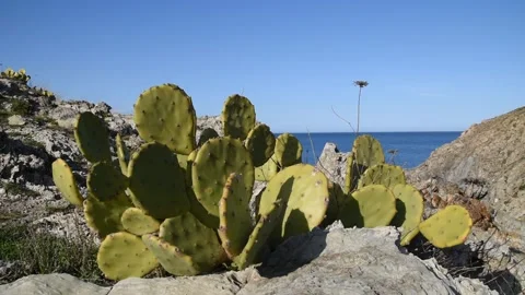 Mediterranean seascape Stock Footage 151314345