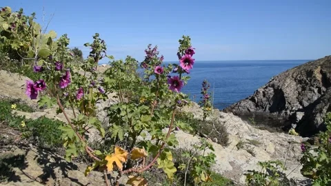 Mediterranean seascape Stock Footage 151315454