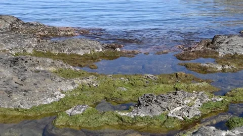 Mediterranean seascape Stock Footage 151824467